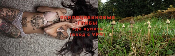 амф Алексин