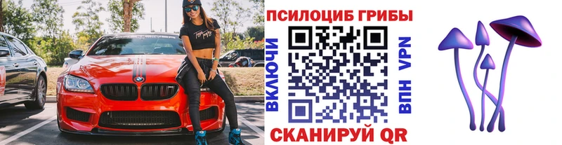 что такое Невьянск Галлюциногенные грибы Psilocybine cubensis